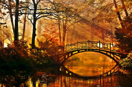 美丽林间小桥河流风景图片