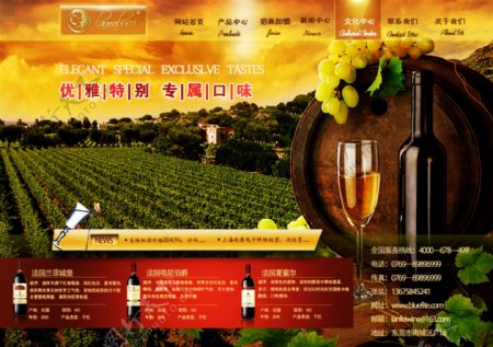 葡萄酒网站