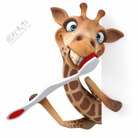 刷牙的长颈鹿图片