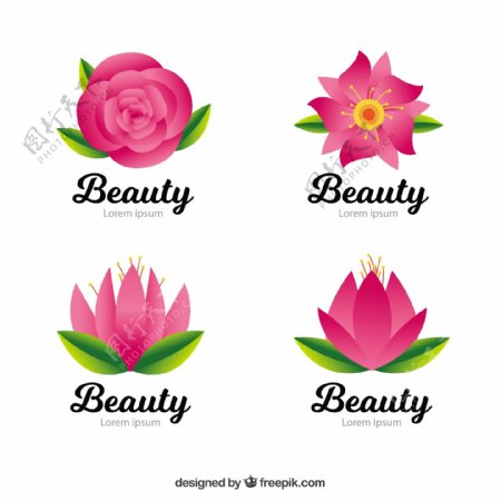 粉红色的花美丽标志logo