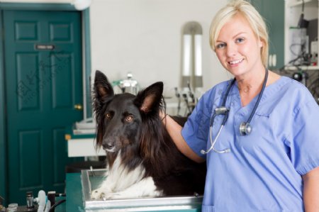 兽医与宠物狗图片