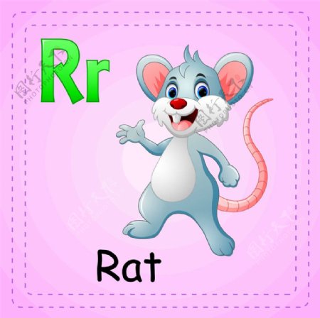 老鼠英文单词图片