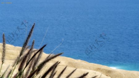 唯美蓝蓝海滩小草烘托场景变焦俯视拍摄沙滩风景高清视频实拍
