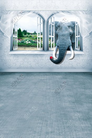 鼻子探进室内的象影楼摄影背景图片
