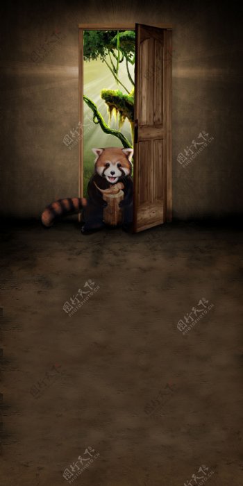 推开门的可爱浣熊影楼摄影背景图片