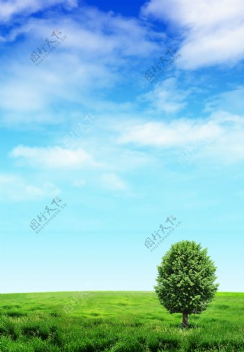 绿色草原与小树图片