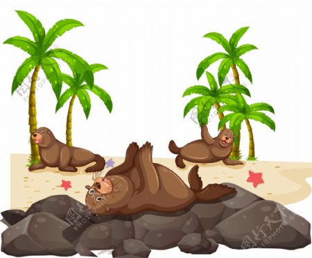 手绘海狮沙滩元素