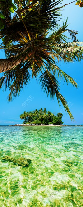 椰树与小岛风景图片