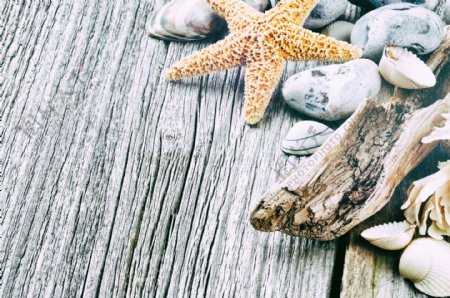 木板上的海星与贝壳图片