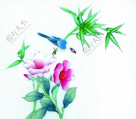 花卉植物与小鸟图片