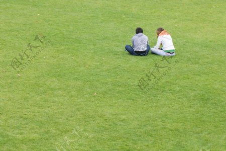 坐在草地上的情侣图片