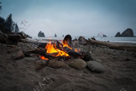 沙滩篝火晚会奥运海岸