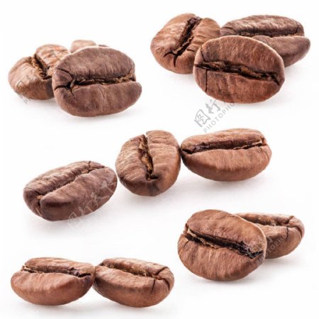 不同形态的高清咖啡豆素材