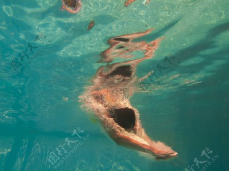 水中游泳的人物摄影图片