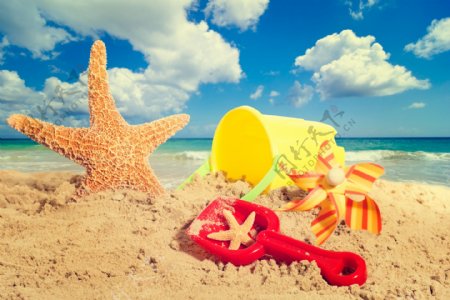 沙滩上的玩具和海星图片