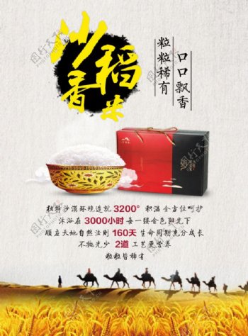 沙稻香大米广告