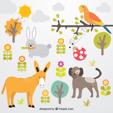 植物与动物插画