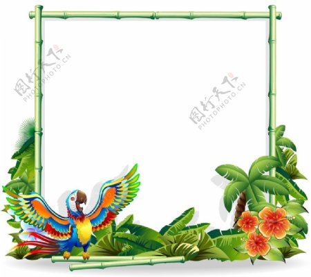 矢量植物鹦鹉背景图片