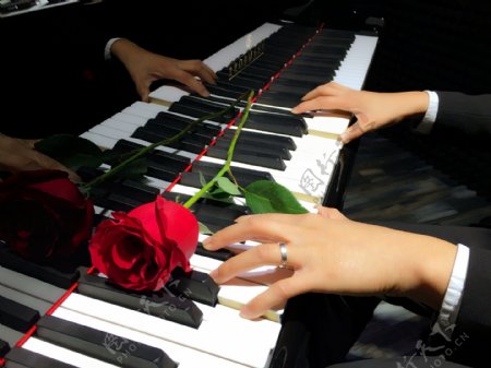 弹钢琴的手指