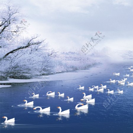冬日湖景装饰画
