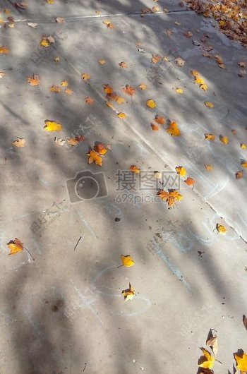 人行道上叶子秋天橙色路面水泥粉笔忙角度多如牛毛