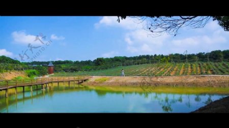 农业旅游视频素材