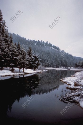 冬天自然景象图片