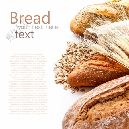 面包燕麦背景图片