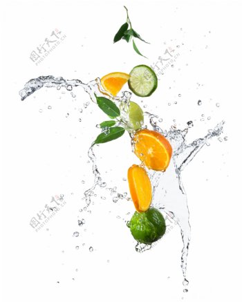 水花和橙子柠檬图片
