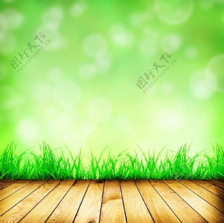绿色梦幻光斑背景图片