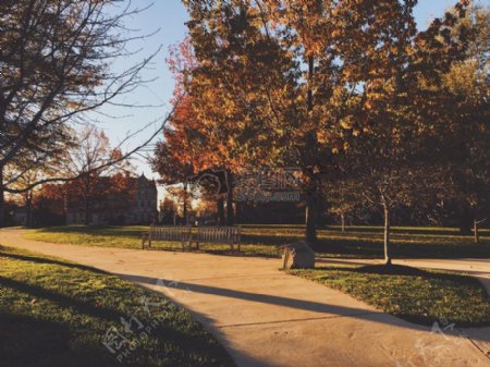 板凳性质树木草地公园秋天秋天胡同早晨太阳