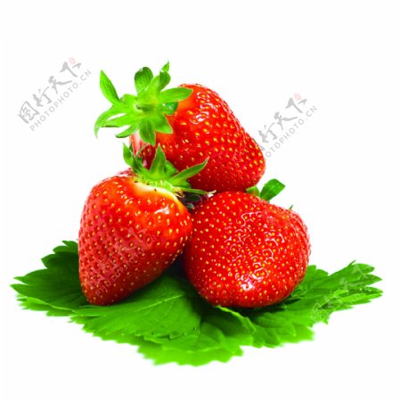新鲜草莓特写图片