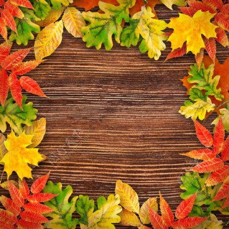 木板与秋天树叶背景图片