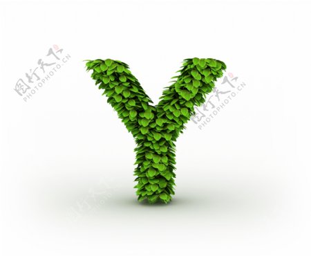 绿叶立体字母Y