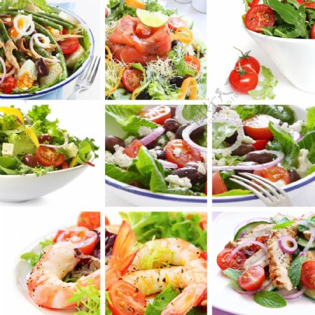 蔬菜沙拉与虾图片