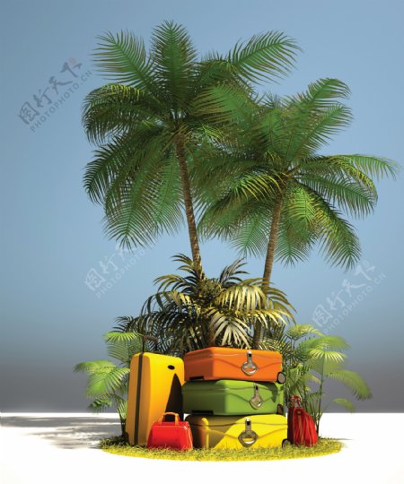 椰子树下的皮箱图片