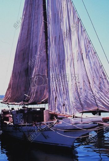 紫颜色的帆船