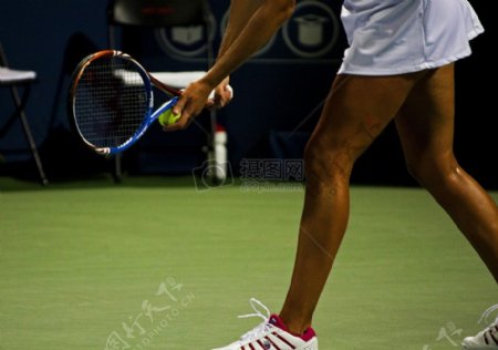人妇女体育球比赛网球竞争运动员法院服务赛事业余爱好休闲