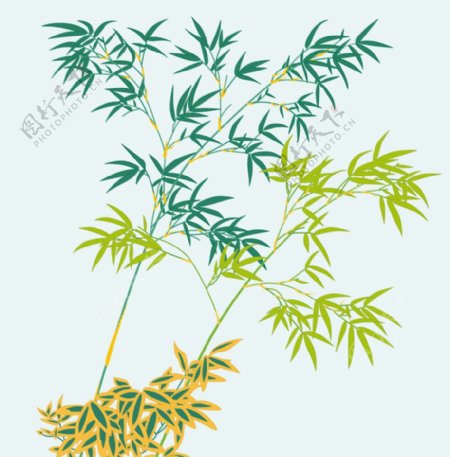 竹子图案设计图片