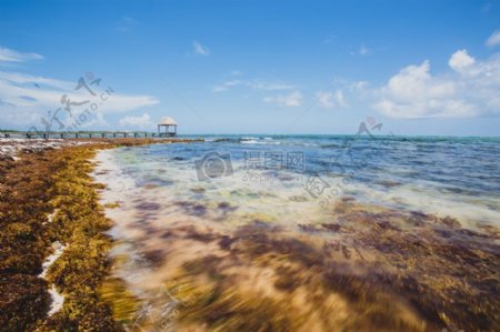 海水云天际线海岸草