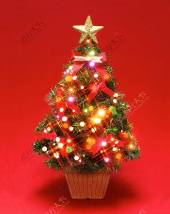 发光圣诞树素材图片