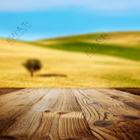 黄色田野前的木板图片