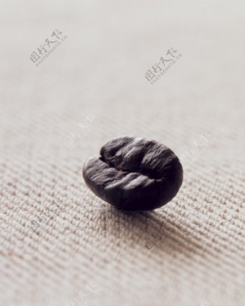 一颗咖啡豆图片图片