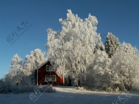 雪地中的小房子