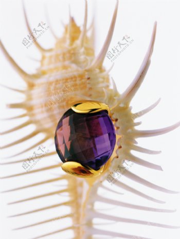 海螺与钻石戒指