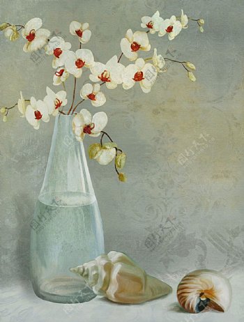 花瓶海螺装饰油画