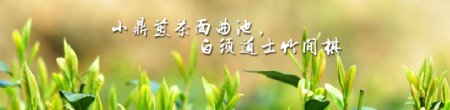 清新自然banner