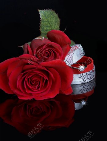 情人节玫瑰花与戒子