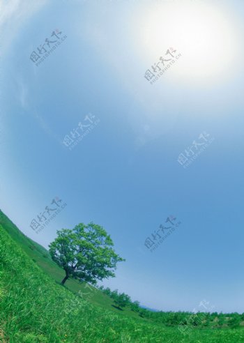 蓝天白云绿树草地图片