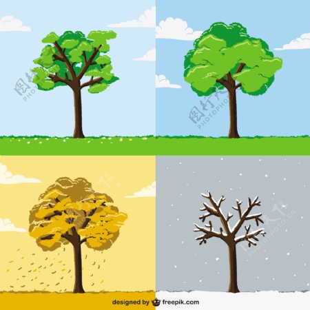 不同季节的树